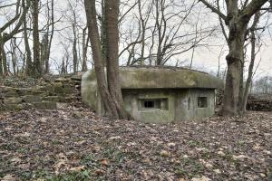 Ligne Maginot - I6 - (Blockhaus pour arme infanterie) - Le blockhaus pour deux mitrailleuses
Une partie de l'empierrement est encore visible à gauche