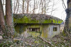 Ligne Maginot - I6 - (Blockhaus pour arme infanterie) - Les deux créneaux pour mitrailleuses