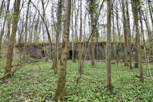 Ligne Maginot - I95 - (Abri) - 