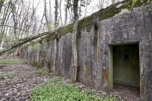 Ligne Maginot - I95 - (Abri) - 