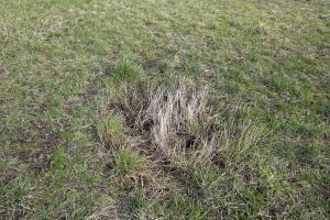 Ligne Maginot - R601 - (Chambre de coupure) - 