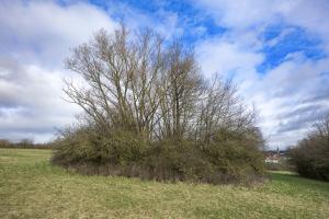 Ligne Maginot - BINING SUD 2 - (Blockhaus pour arme infanterie) - 