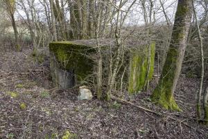 Ligne Maginot - BINING SUD 2 - (Blockhaus pour arme infanterie) - 