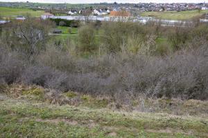 Ligne Maginot - ROHRBACH SUD 3 - (Blockhaus pour arme infanterie) - Caché par une végétation très dense