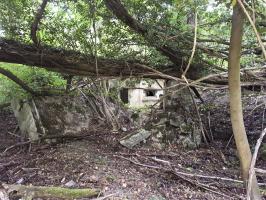 Ligne Maginot - PAYSANS EST  - (Blockhaus de type indéterminé) - Bloc détruit devant l'abri A 75