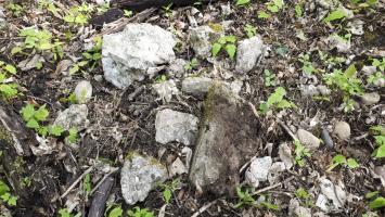 Ligne Maginot - PORT DU RHIN SUD 12 - (Blockhaus pour arme infanterie) - Fragments de béton