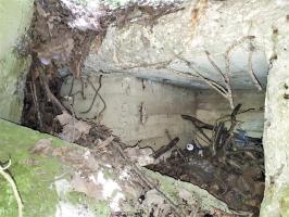 Ligne Maginot - PORT DU RHIN SUD 32BIS - (Blockhaus de type indéterminé) - Restes du bloc