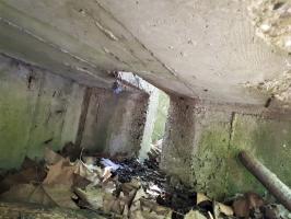 Ligne Maginot - PORT DU RHIN SUD 32BIS - (Blockhaus de type indéterminé) - Le second créneau visible, curieusement placé en coin