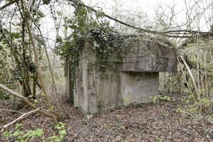 Ligne Maginot - RHIN TORTU 1 - (Blockhaus pour arme infanterie) - 