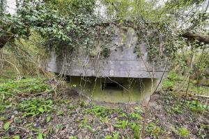 Ligne Maginot - RHIN TORTU 2 - (Blockhaus pour arme infanterie) - 