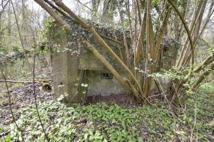 Ligne Maginot - RHIN TORTU 2 - (Blockhaus pour arme infanterie) - 