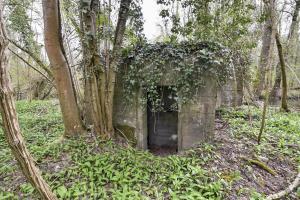 Ligne Maginot - RHIN TORTU 2 - (Blockhaus pour arme infanterie) - 