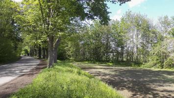 Ligne Maginot - SCHWARZWASSER - (Dépôt de Munitions) - Au niveau de la rue de la Ganzau une portion de la voie de raccordement est encore visible