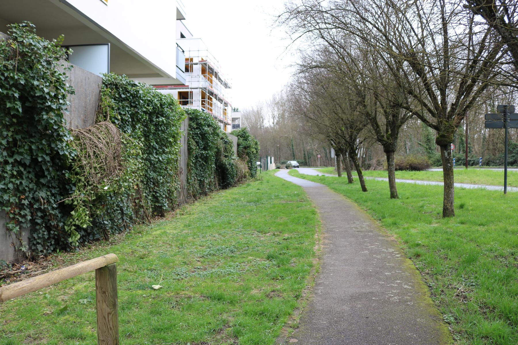 Ligne Maginot - BC19 - LAGRANGE - (Chambre de coupure) - Photo de la position de la chambre de coupure actuellement  - BERAUT Geoffrey 
