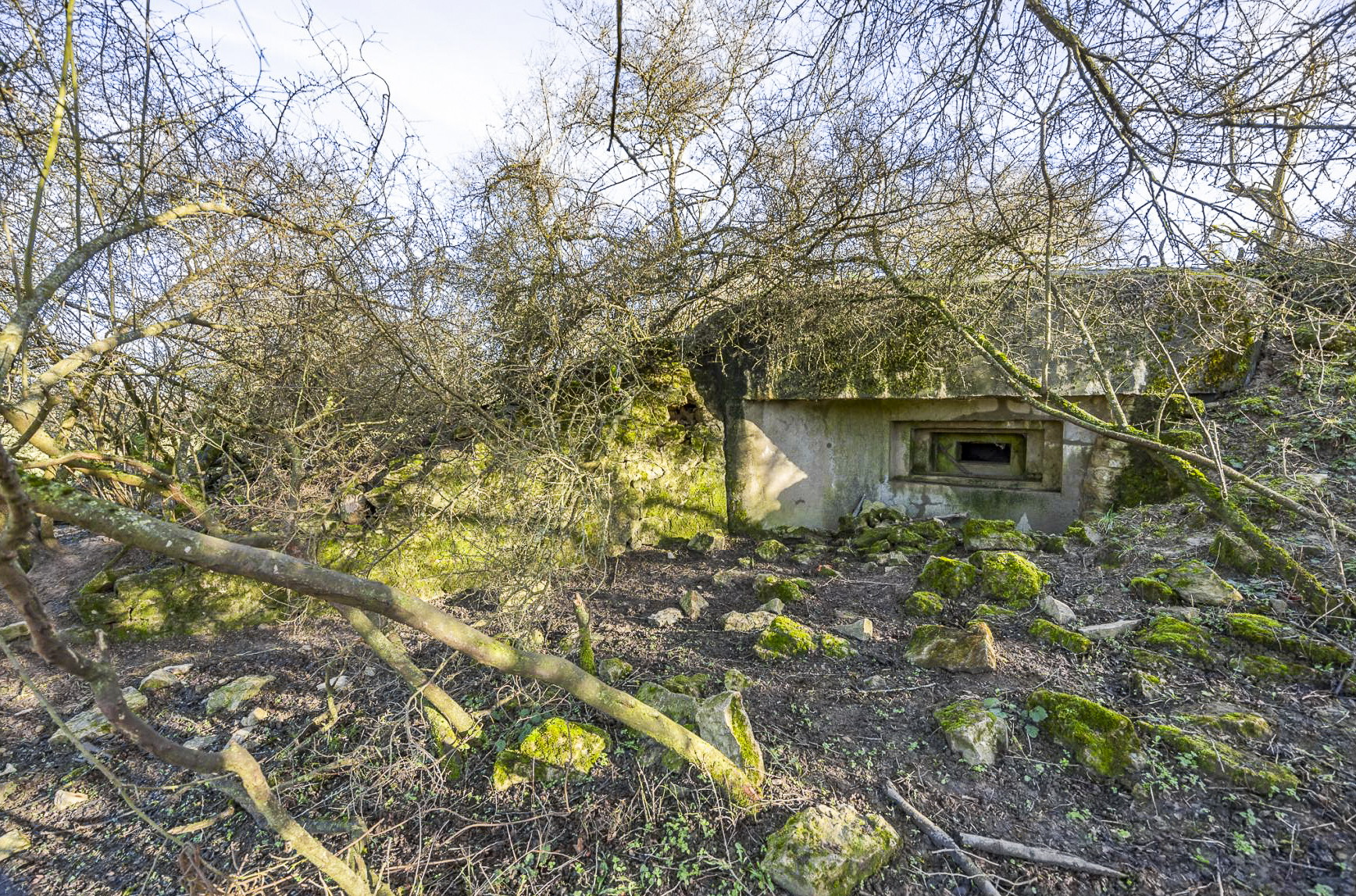 Ligne Maginot - DIEMERINGEN - (Blockhaus pour arme infanterie) - Façade de tir. - Lenhard Christian