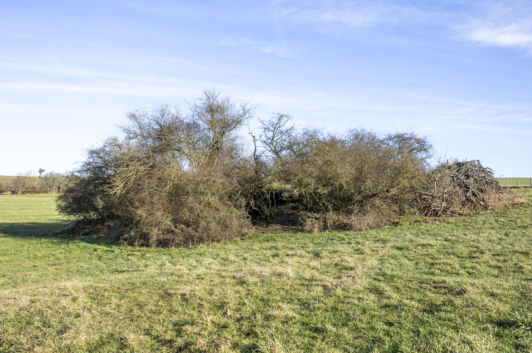 Ligne Maginot - DIEMERINGEN - (Blockhaus pour arme infanterie) - Vue générale.  - Lenhard Christian
