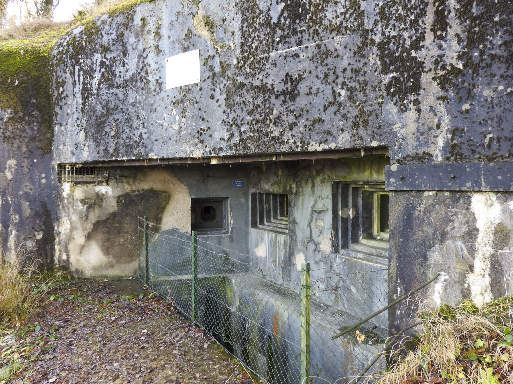 Ligne Maginot - MICHELSBERG - A22 - (Ouvrage d'artillerie) - La façade de tir du bloc 2. - STENGER Mathieu