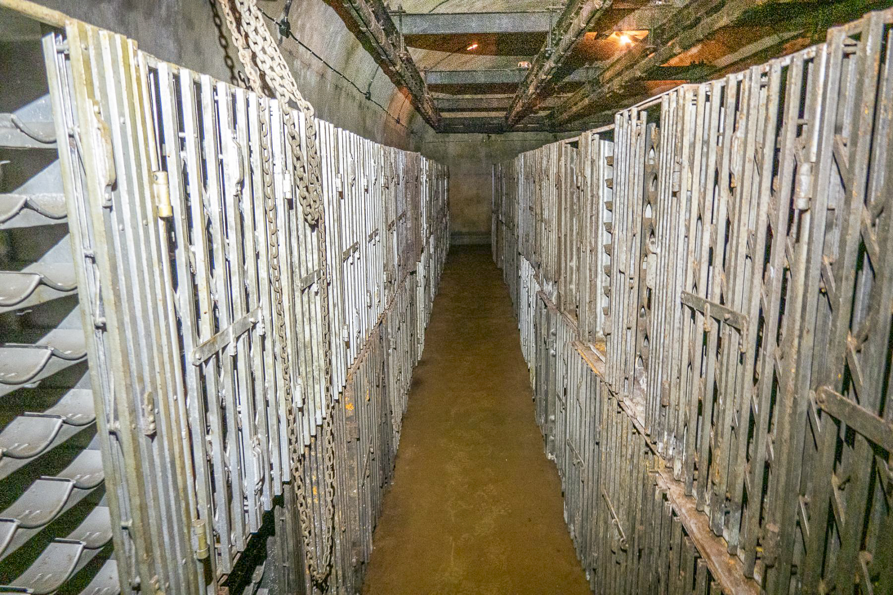 Ligne Maginot - MICHELSBERG - A22 - (Ouvrage d'artillerie) - Bloc 5
Casiers à munitions dans l'une des deux alvéoles du M2 - Michel Teiten