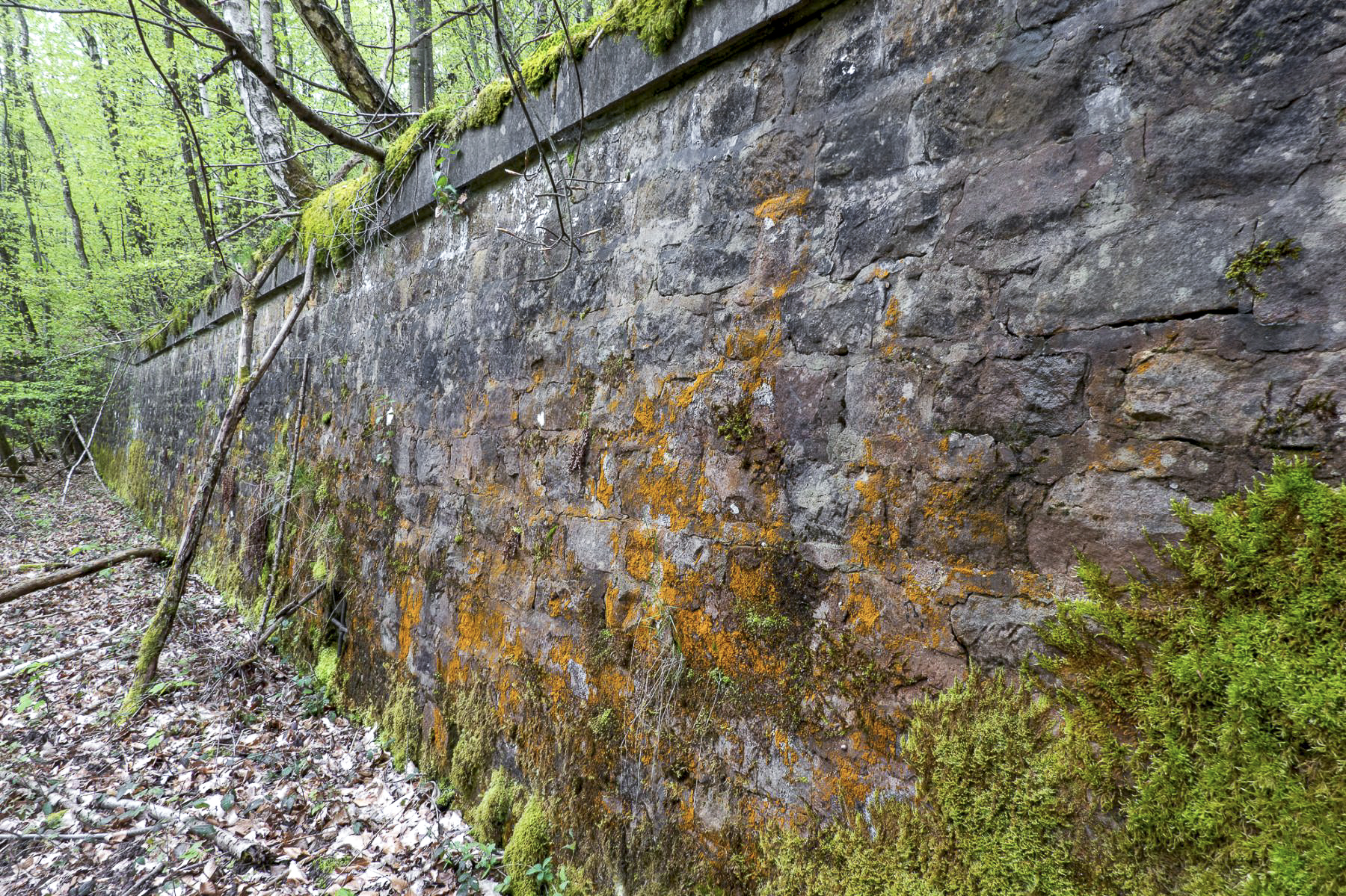 Ligne Maginot - HOCHWALD (fossé antichar du) (Obstacle antichar) - L'escarpe sur laquelle se trouve la casemate C1, à l'extrémité du fossé antichar - Michel Teiten