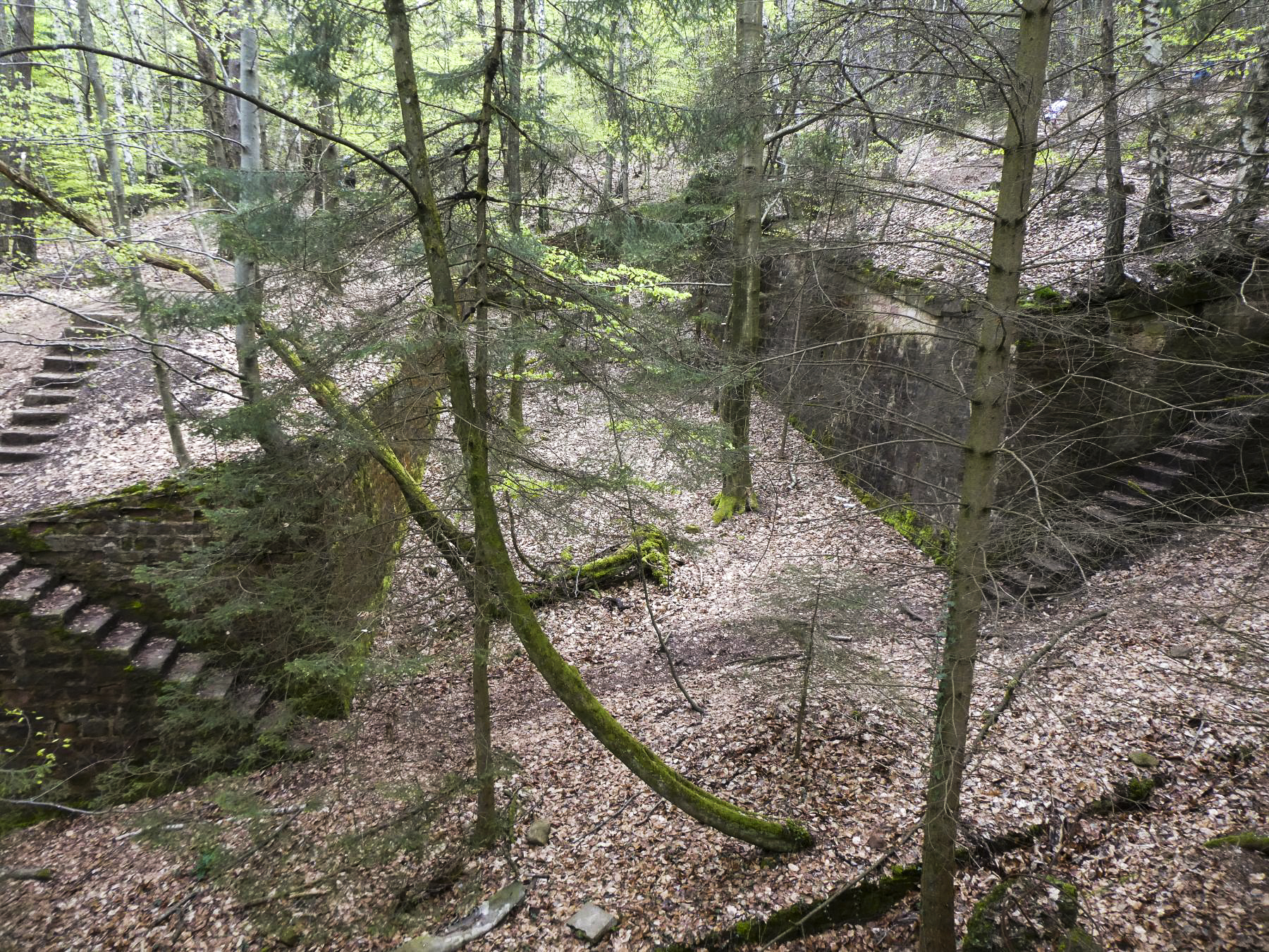 Ligne Maginot - HOCHWALD (fossé antichar du) (Obstacle antichar) - Fossé près de la casemate C2 - ELLENA Daniel-CUNY Philippe