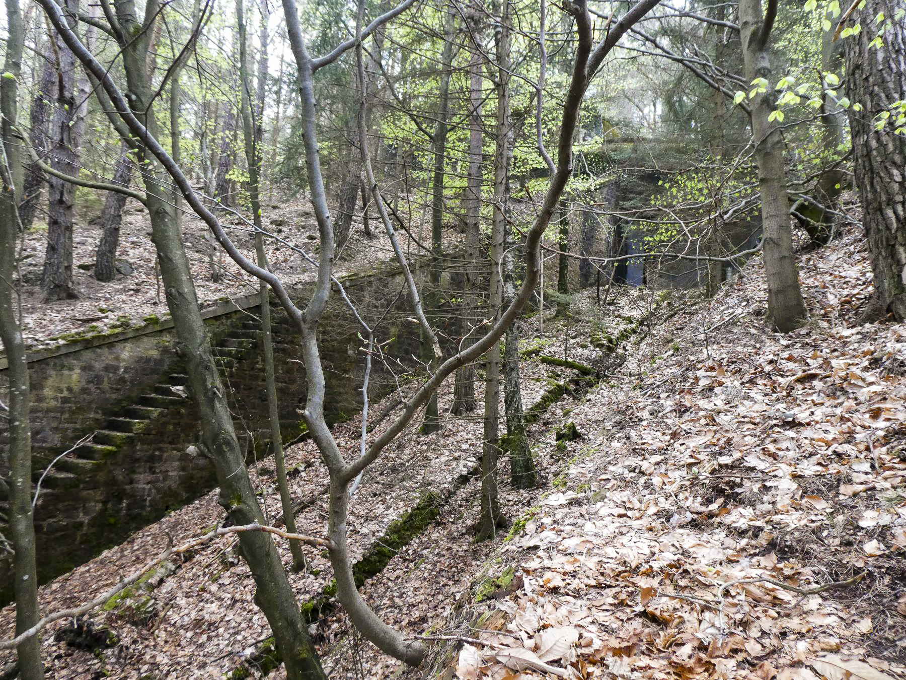 Ligne Maginot - HOCHWALD (fossé antichar du) (Obstacle antichar) - Le fossé près du C3 - ELLENA Daniel-CUNY Philippe