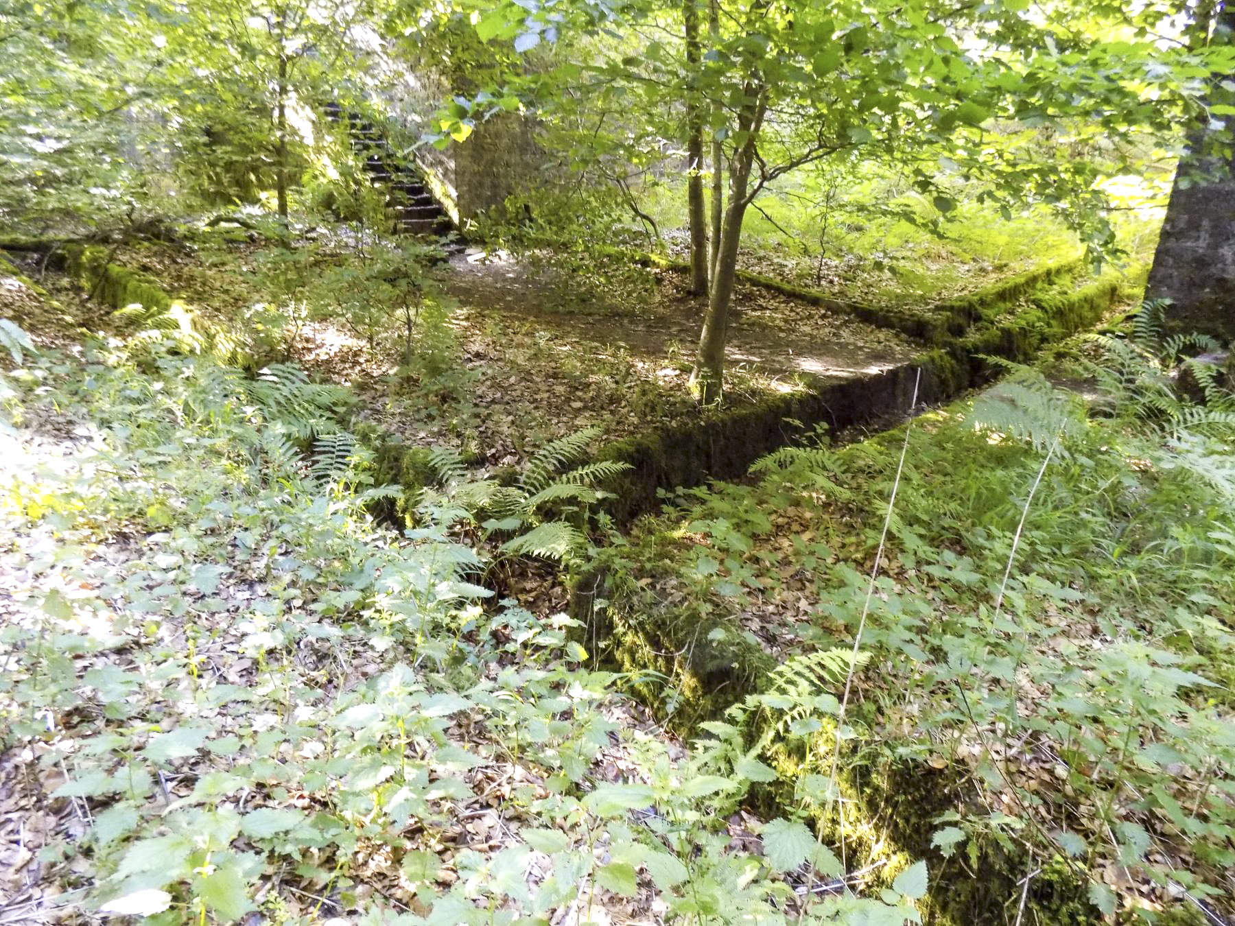 Ligne Maginot - HOCHWALD (FOSSé ANTICHAR DU) - (Obstacle antichar) - Jonction évacuation des eaux du fosse entre C5 et le fosse la contournant - JL