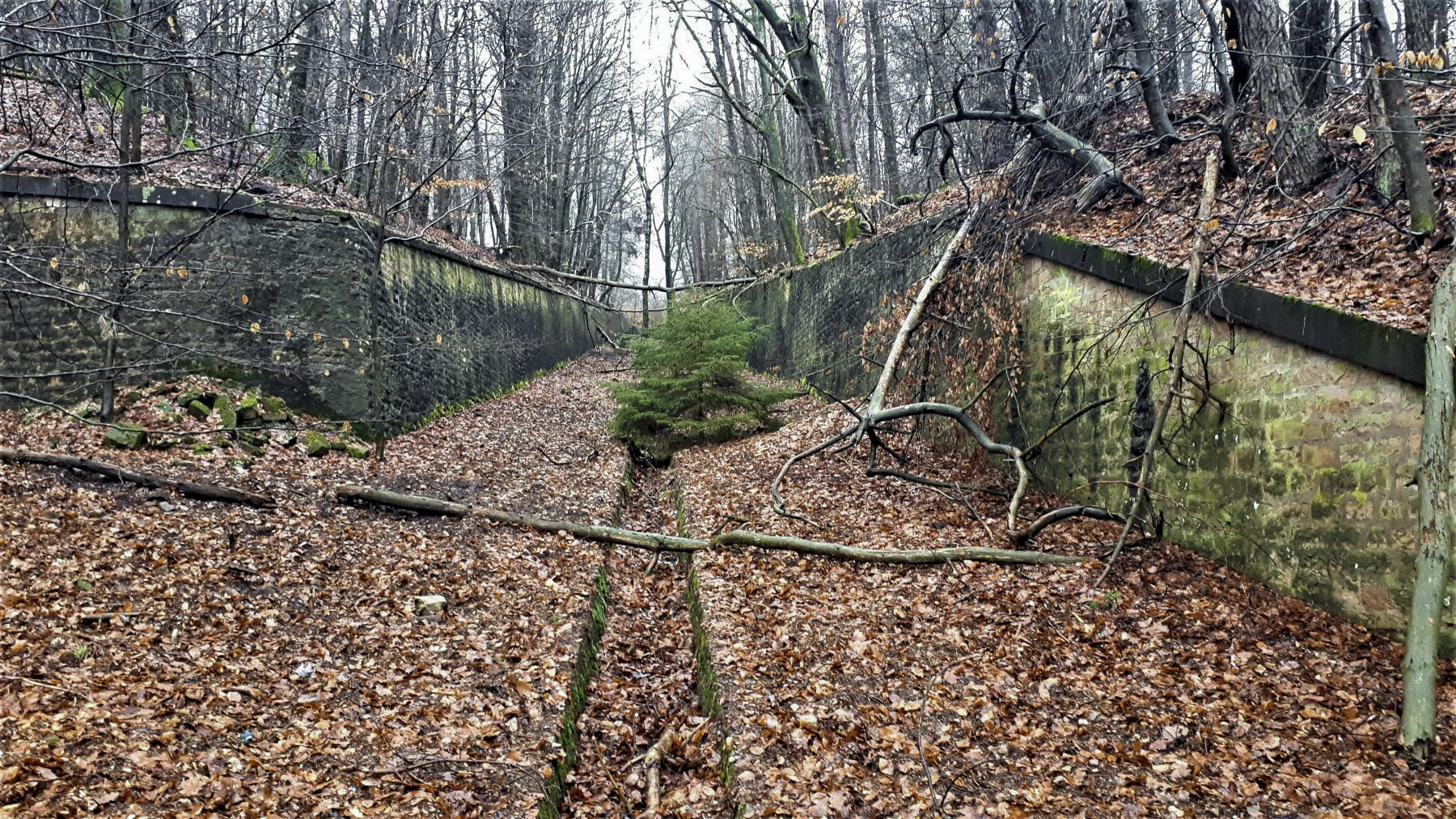 Ligne Maginot - HOCHWALD (FOSSé ANTICHAR DU) - (Obstacle antichar) - L'extrémité du fossé de la casemate C5