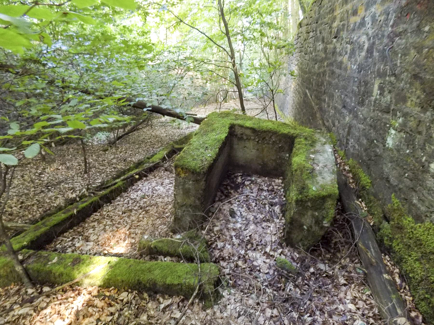 Ligne Maginot - HOCHWALD (FOSSé ANTICHAR DU) - (Obstacle antichar) - Fondation présente dans le fosse entre C5 et C6 - JL