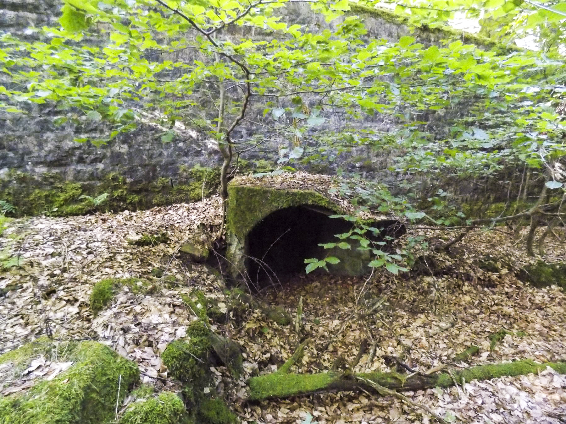 Ligne Maginot - HOCHWALD (FOSSé ANTICHAR DU) - (Obstacle antichar) - Fondation présente dans le fosse entre C5 et C6 - JL