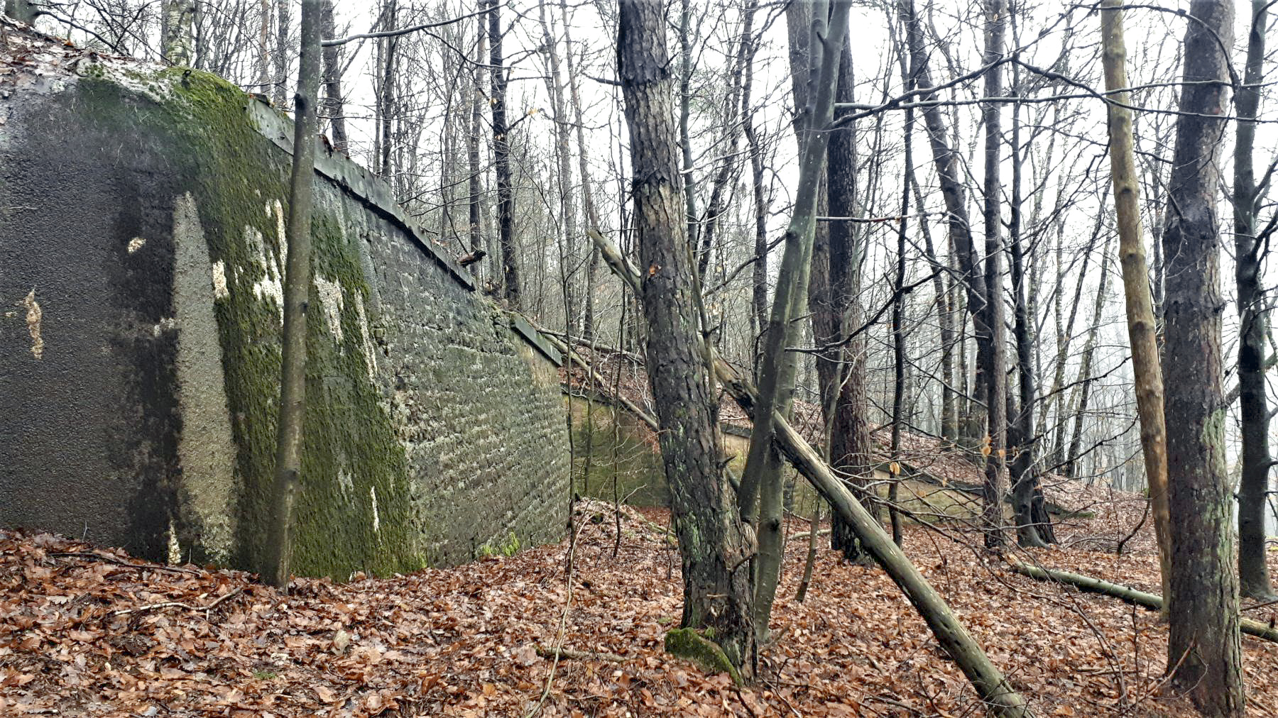 Ligne Maginot - HOCHWALD (FOSSé ANTICHAR DU) - (Obstacle antichar) - Au niveau de casemate C6, les fossés ne sont pas raccordés et ne comportent pas de mur de contre-escarpe