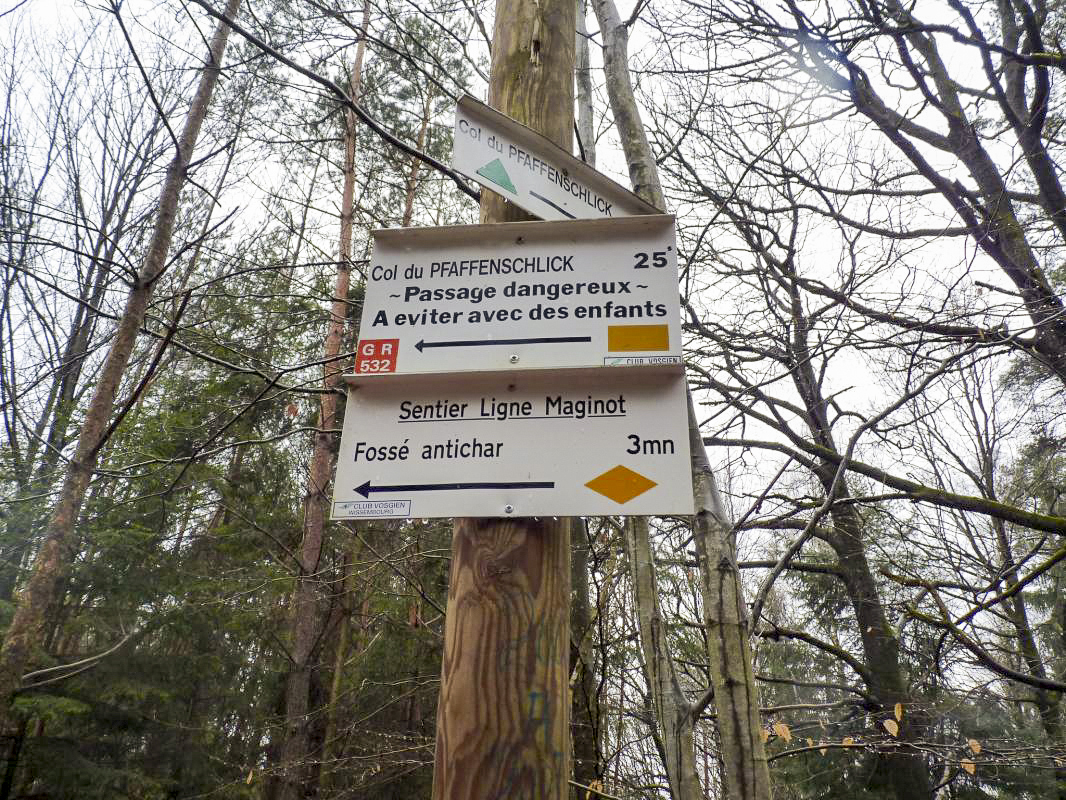 Ligne Maginot - HOCHWALD (FOSSé ANTICHAR DU) - (Obstacle antichar) - Sentier balisé du club vosgien menant au fossé antichar