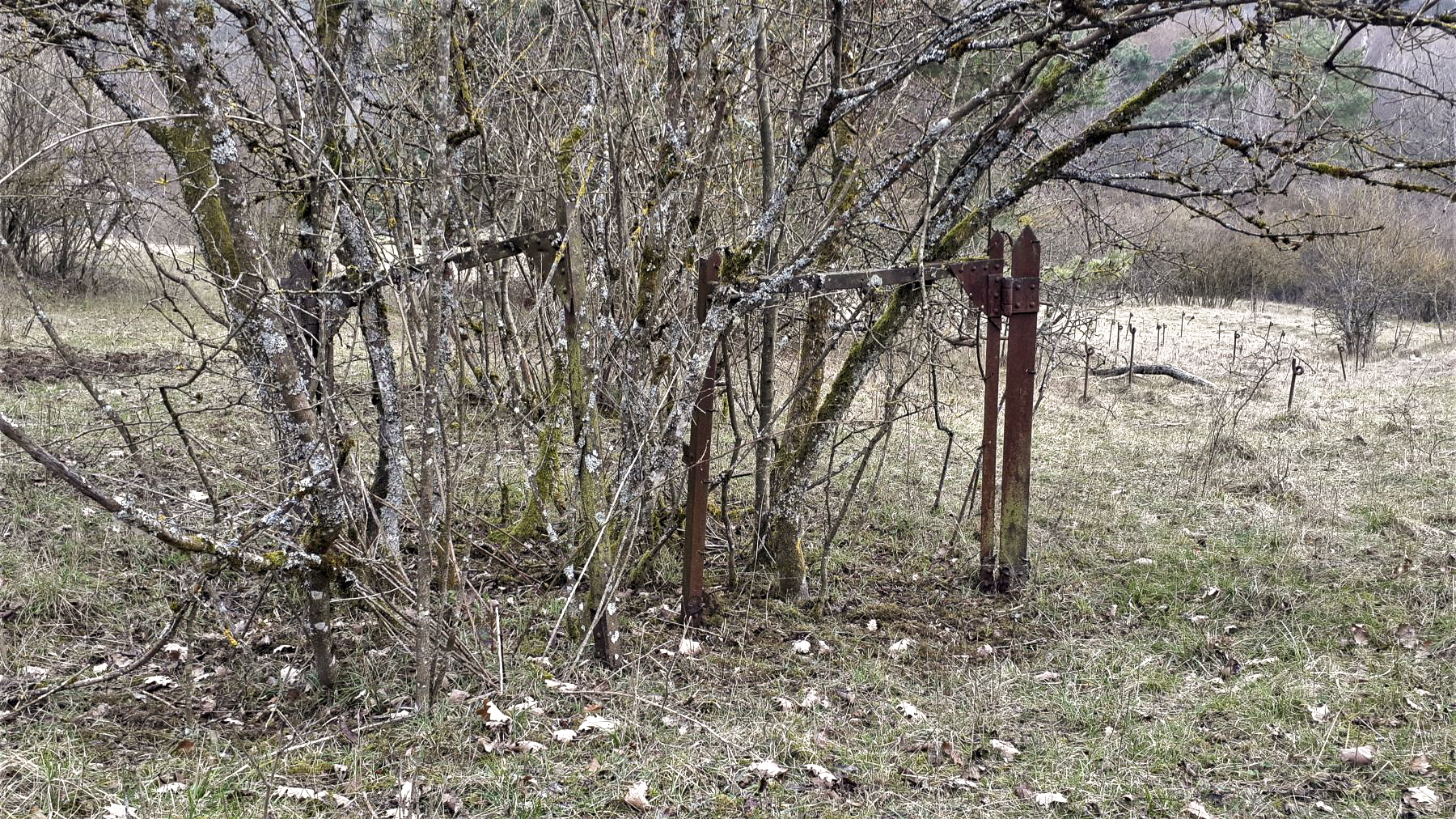 Ligne Maginot - HOCHWALD - (Ouvrage d'artillerie) - Portail fermant un accès à travers le réseau barbelés de l'ouvrage ouest