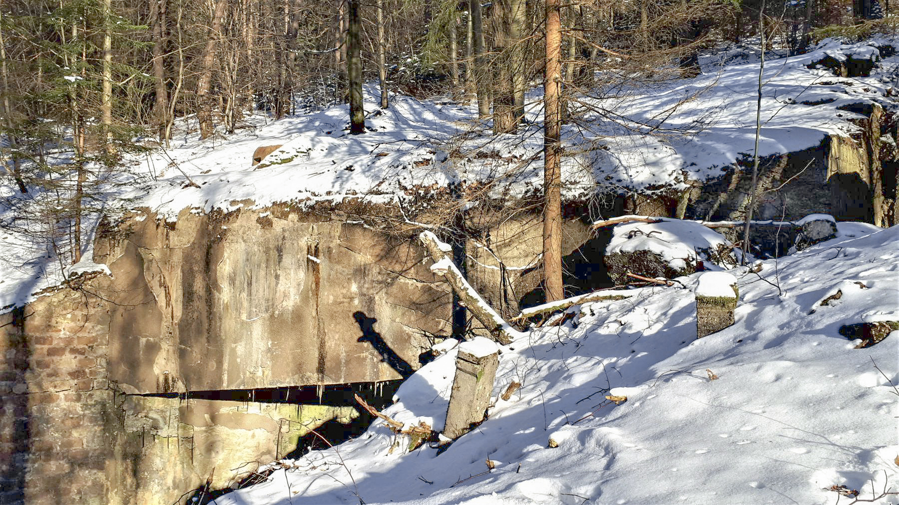 Ligne Maginot - HOCHWALD C2 - (Casemate d'infanterie) - La dalle de la casemate, la cloche JM est visible en haut à gauche