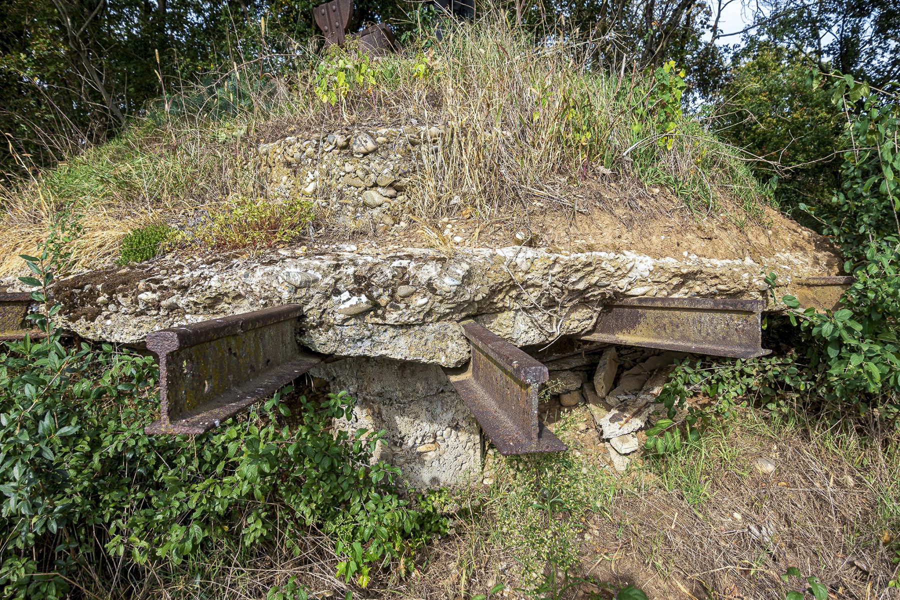 Ligne Maginot - OBERWALD SUD OUEST - (Observatoire d'infanterie) -  - David Palmer