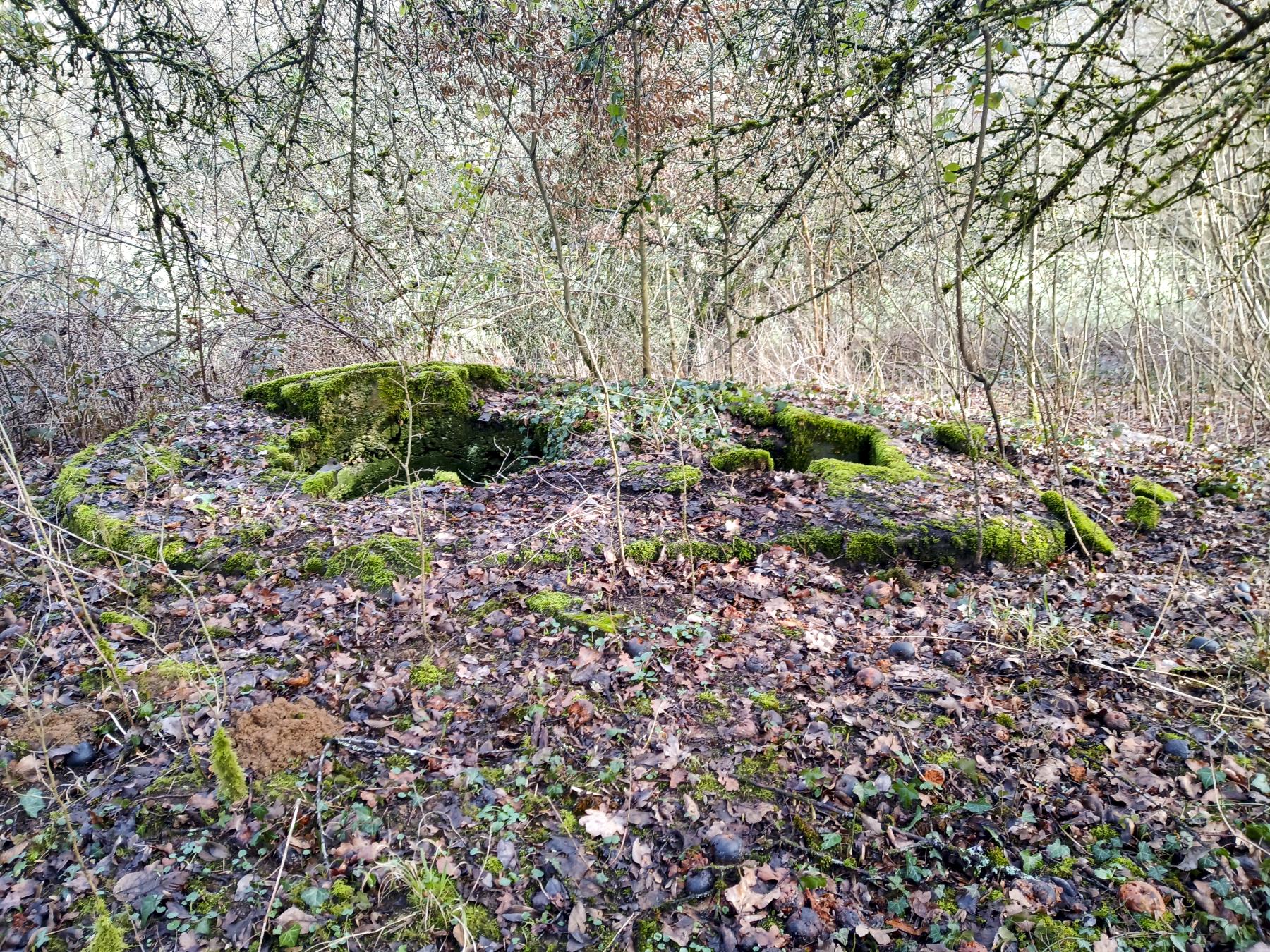 Ligne Maginot - MT13 - (Cuve pour arme d'infanterie) -  - Marc Fossoul