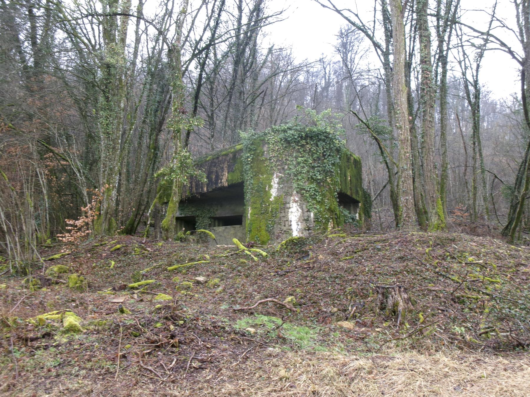 Ligne Maginot - G21 - (Blockhaus lourd type STG / STG-FCR - Simple) -  - Marc Fossoul