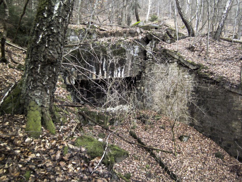 Ligne Maginot - HOCHWALD C7 ( Casemate d'infanterie ) - La casemate et le fossé antichar - GLÜCKSJÄGER GJ13