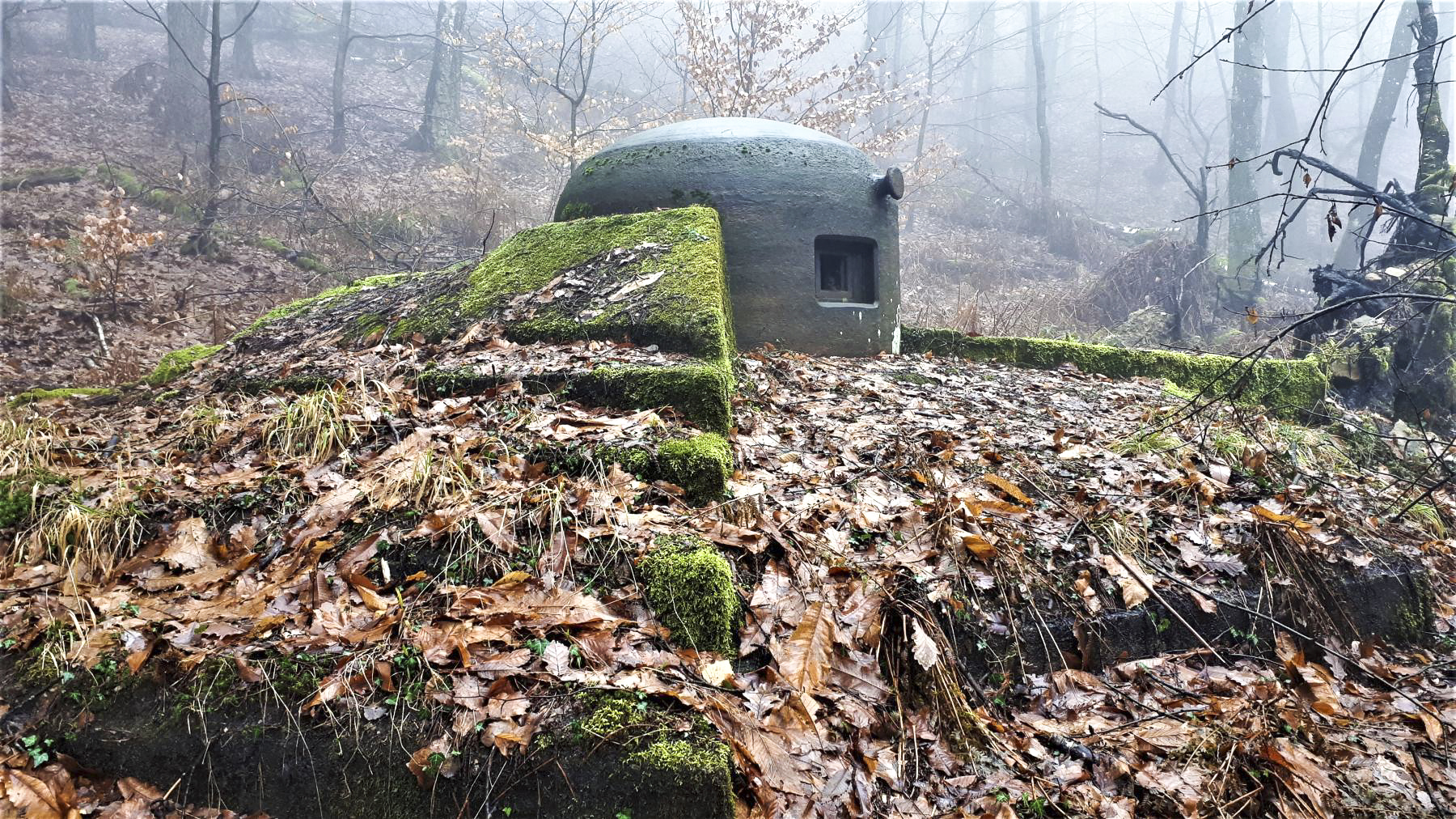 Ligne Maginot - HOCHWALD C7 - (Casemate d'infanterie) - La cloche GFM - Gregory Fuchs