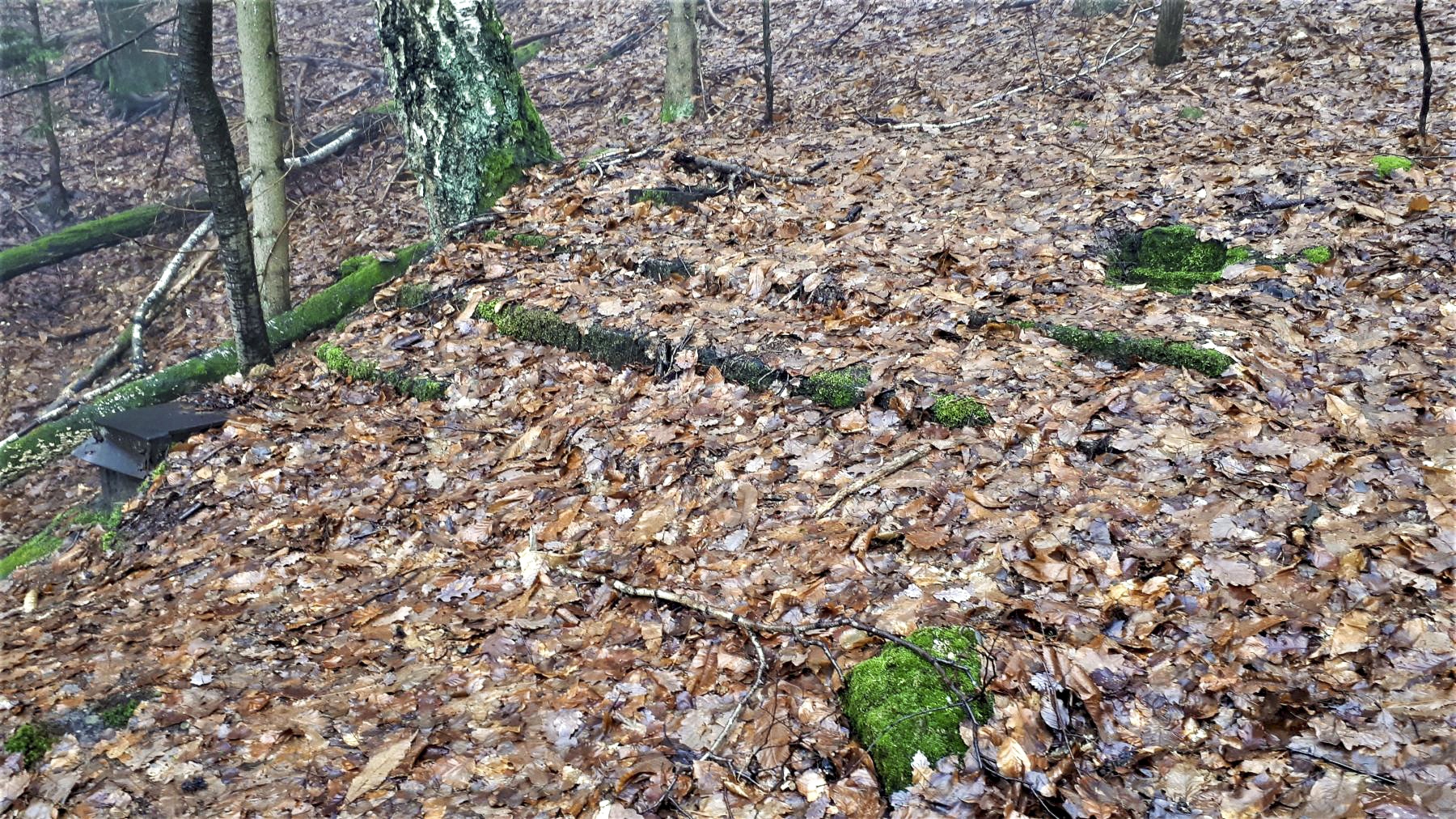 Ligne Maginot - HOCHWALD C7 - (Casemate d'infanterie) - Sur la dalle de la casemate, les fondations d'installations d'après guerre - Gregory Fuchs