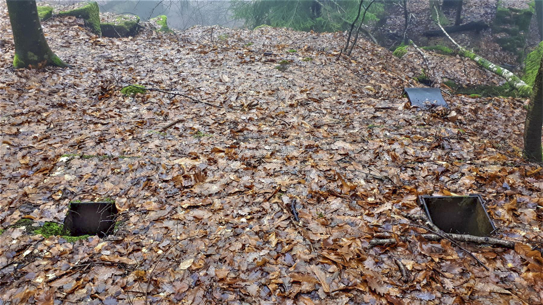 Ligne Maginot - HOCHWALD C7 - (Casemate d'infanterie) - Sur la dalle de la casemate, les fondations d'installations d'après guerre - Gregory Fuchs