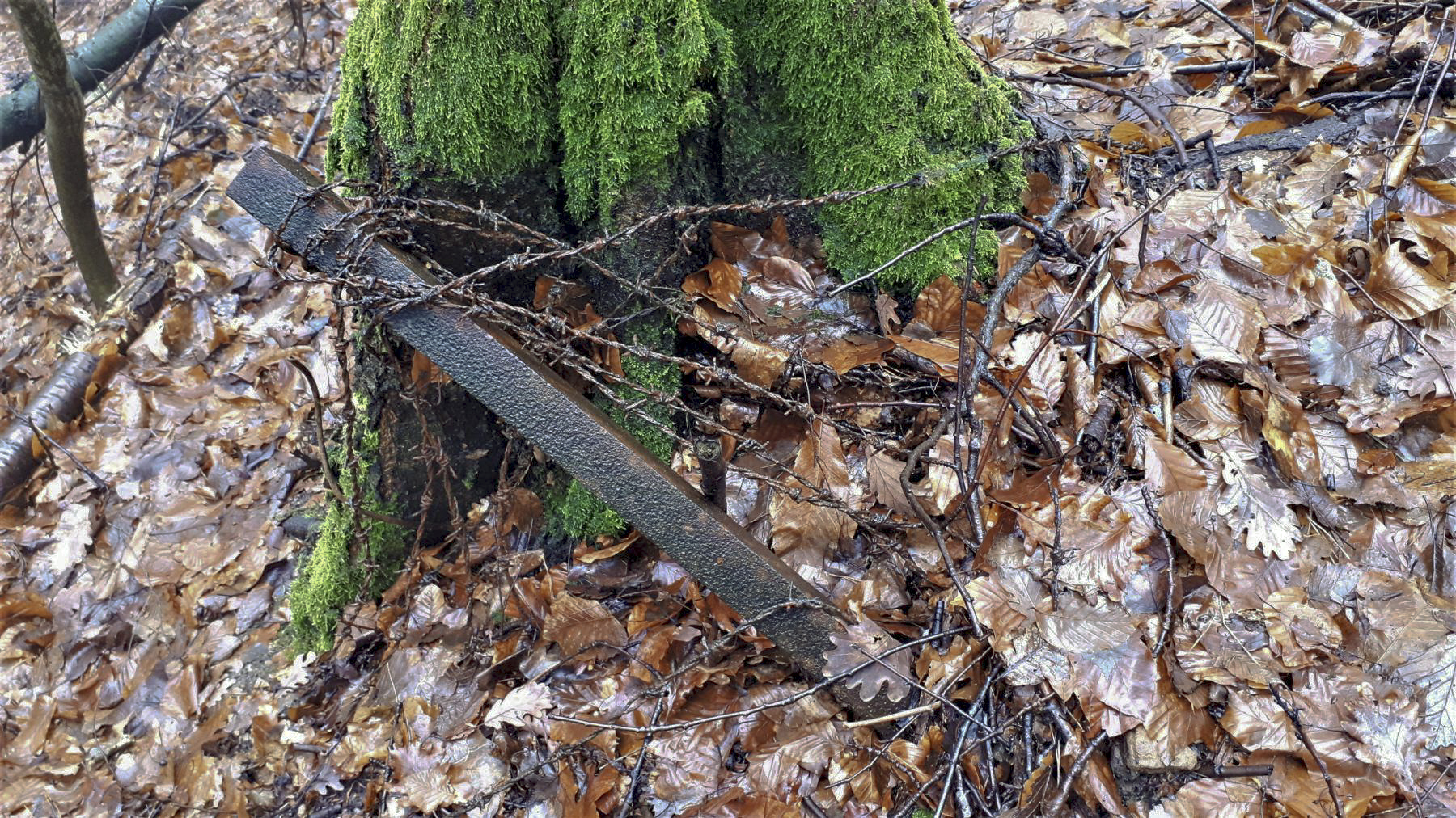 Ligne Maginot - HOCHWALD C7 - (Casemate d'infanterie) - Poteau à barbelés - Gregory Fuchs