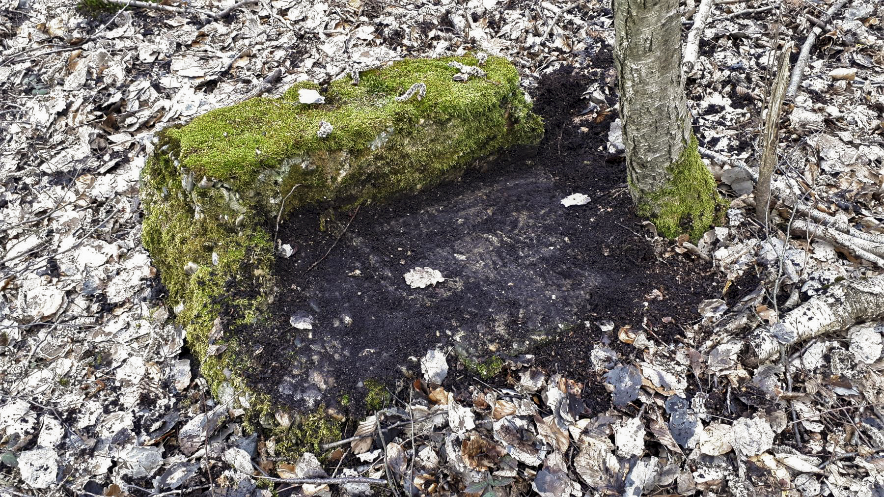 Ligne Maginot - HOCHWALD OUEST 7 - (Blockhaus pour arme infanterie) - Fragment de béton - Gregory Fuchs