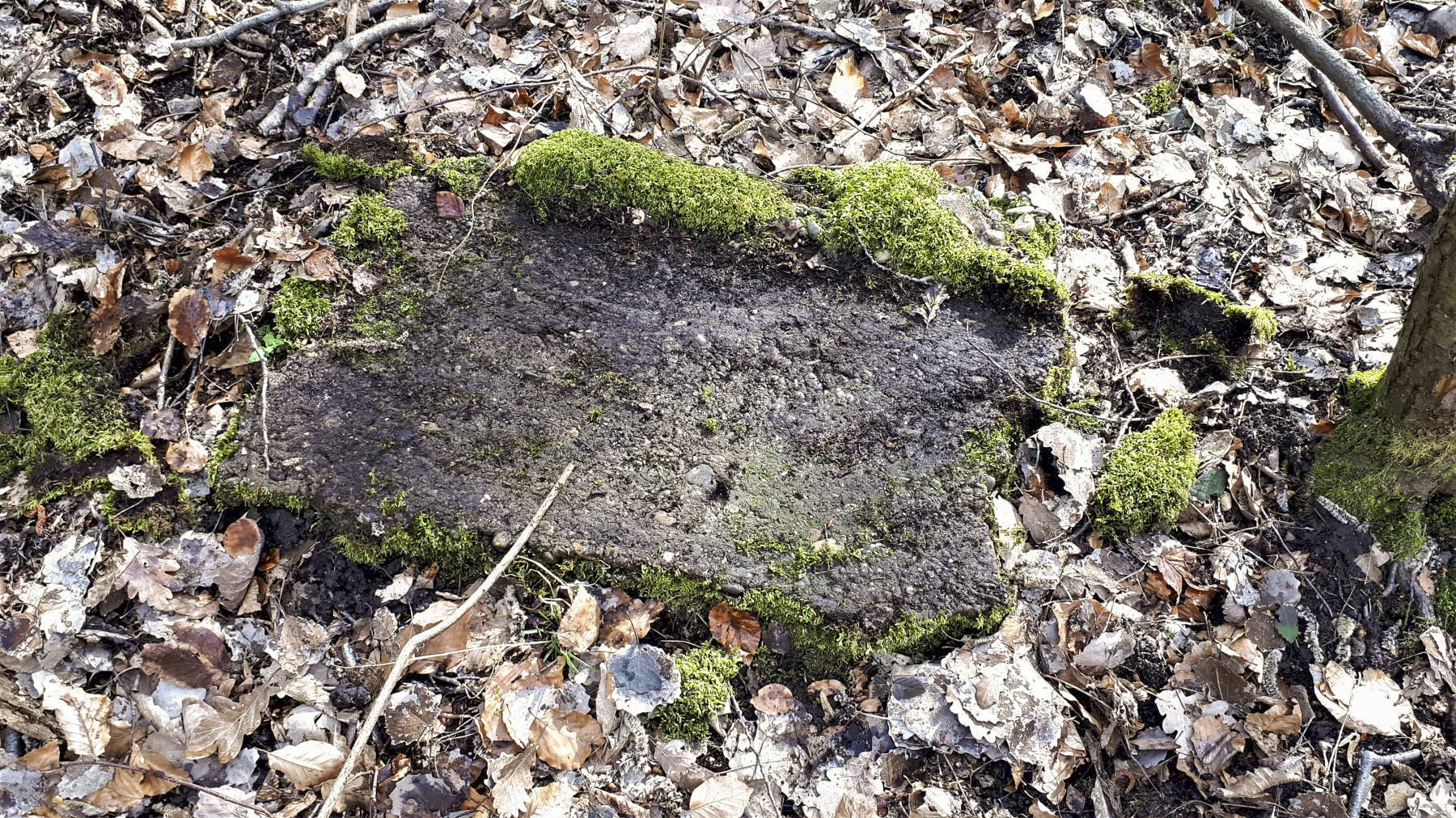 Ligne Maginot - HOCHWALD OUEST 7 - (Blockhaus pour arme infanterie) - Fragment de béton