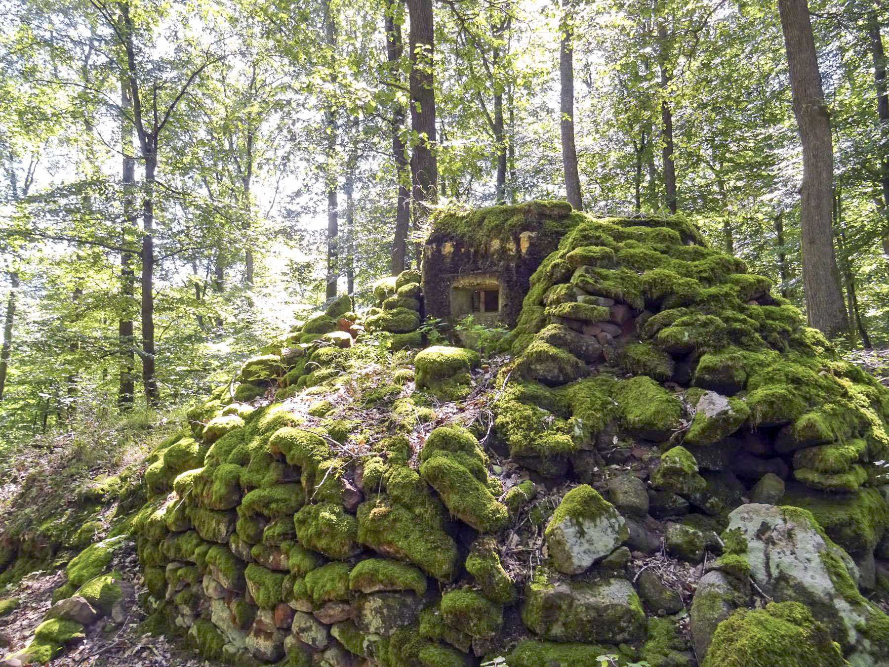 Ligne Maginot - FM39 - DIEBSKOPF 1 - (Blockhaus pour arme infanterie) -  - Léo Zahn