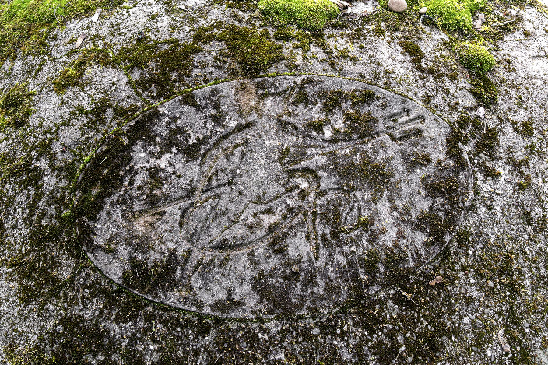 Ligne Maginot - OBERWALD SUD NORD-EST - (Blockhaus pour arme infanterie) -  - David Palmer