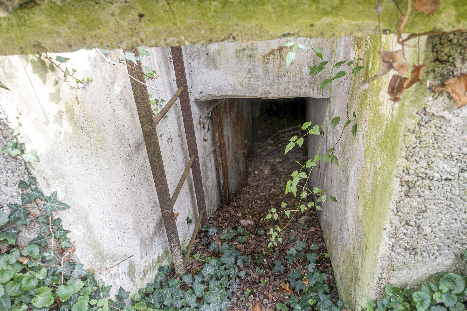 Ligne Maginot - OBERWALD SUD NORD-EST - (Blockhaus pour arme infanterie) - L'entrée - David Palmer