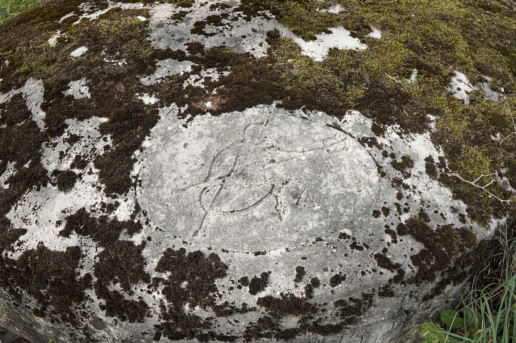 Ligne Maginot - OBERWALD SUD EST - (Blockhaus pour arme infanterie) -  - David Palmer