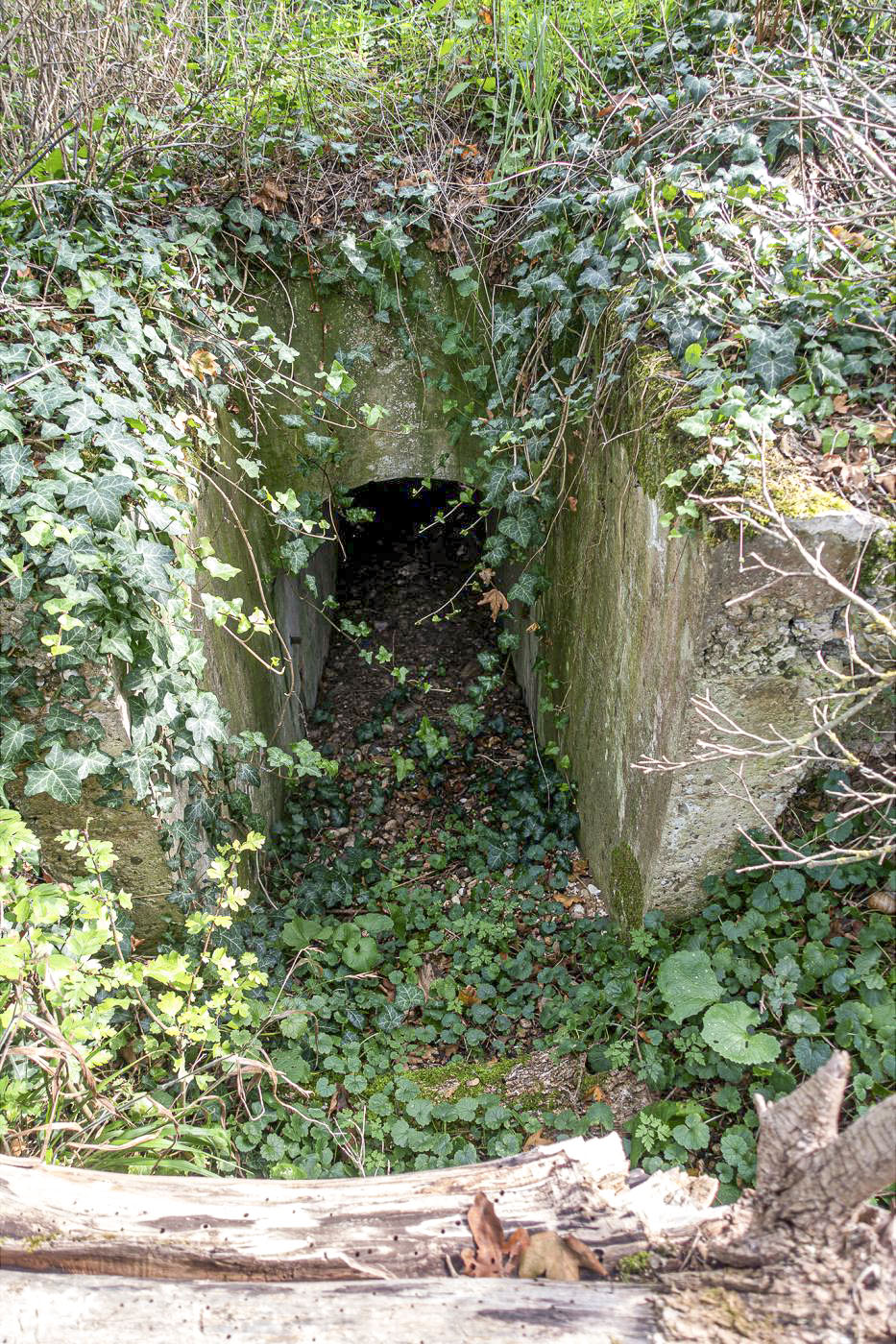Ligne Maginot - OBERWALD SUD EST - (Blockhaus pour arme infanterie) - L'entrée - David Palmer