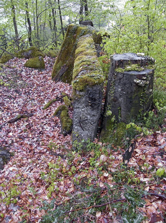 Ligne Maginot - PFAFFENBRONN 4 - (Blockhaus pour arme infanterie) -  - Jean-Louis AUBLET & Sylvie MAINGUIN