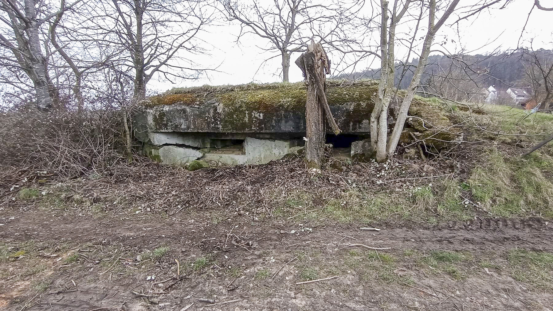 Ligne Maginot - PFAFFENBRONN 7 - (Blockhaus pour arme infanterie) - Façade avec deux créneaux pour mitrailleuse